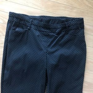 Zac & Rachel Pull On Ankle Pants Size 18W